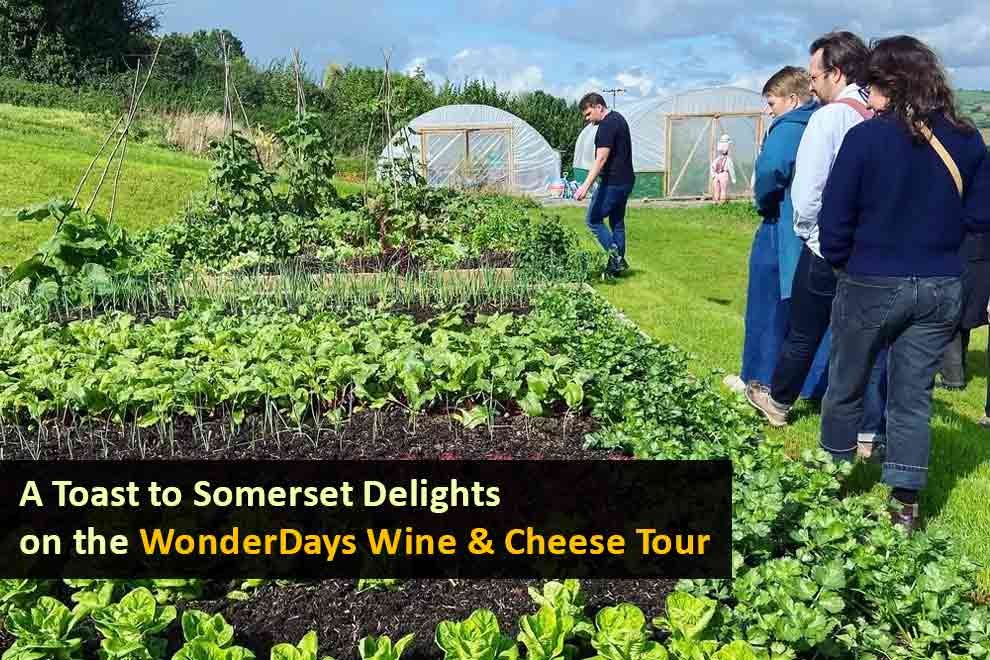 Wine & Cheese Tour