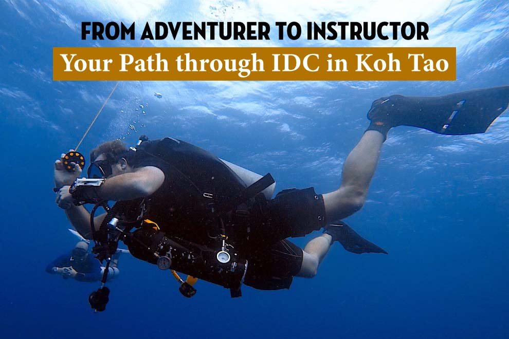 idc-in-koh-tao