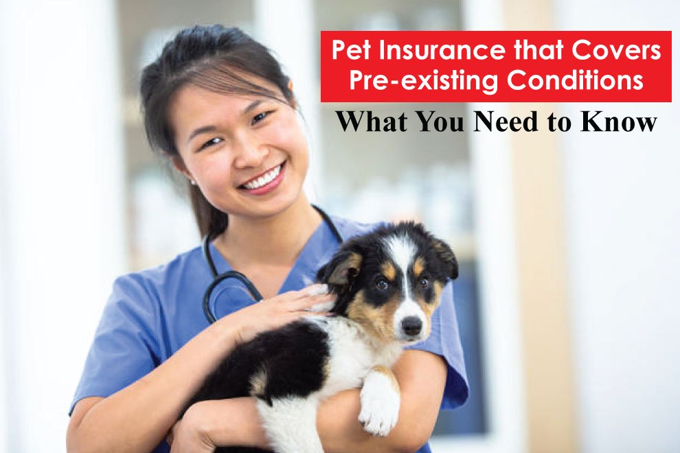 pet insurance